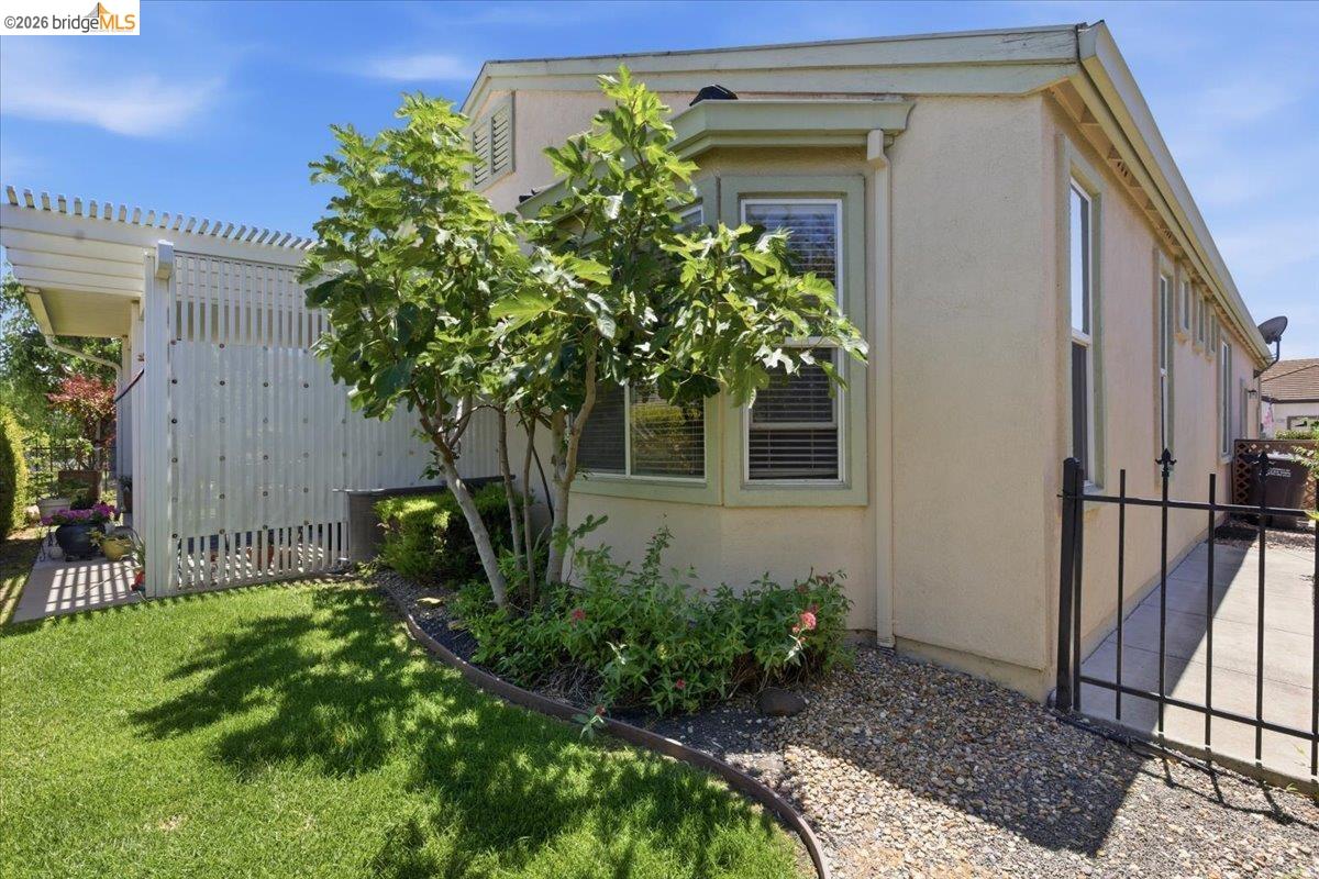 282 Cedar Ridge Drive Rio Vista, CA 94571 - Photo 19 of 31