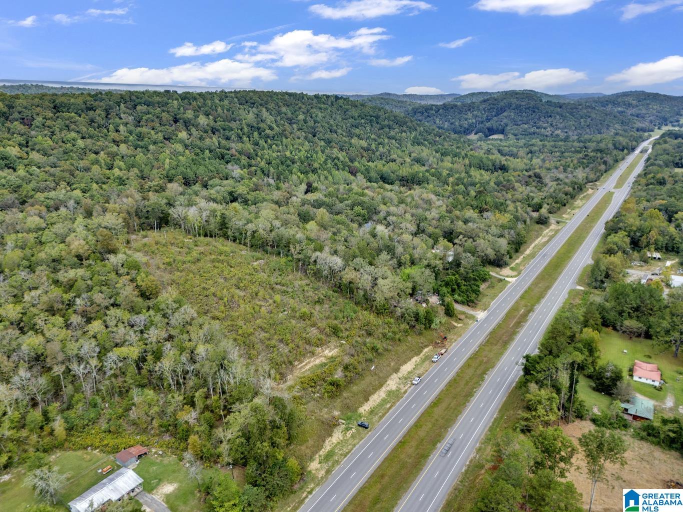 0 Highway 75 Remlap, AL 35133 - Photo 6 of 6
