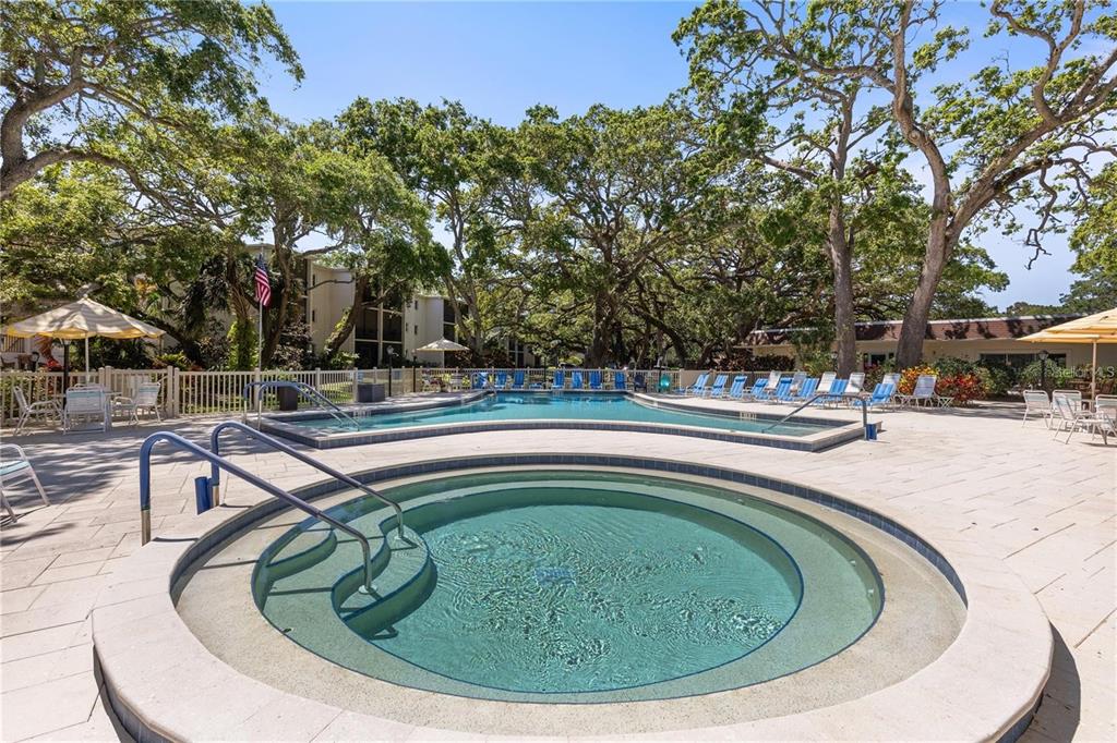 860 Virginia Street, Unit 211 Dunedin, FL 34698 - Photo 39 of 49