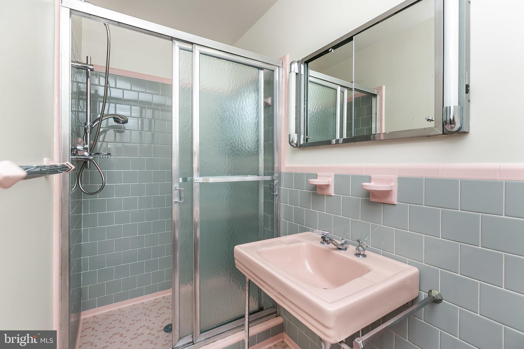 1103 Ryegate Road Baltimore, MD 21286 - Photo 14 of 24 En suite master bath