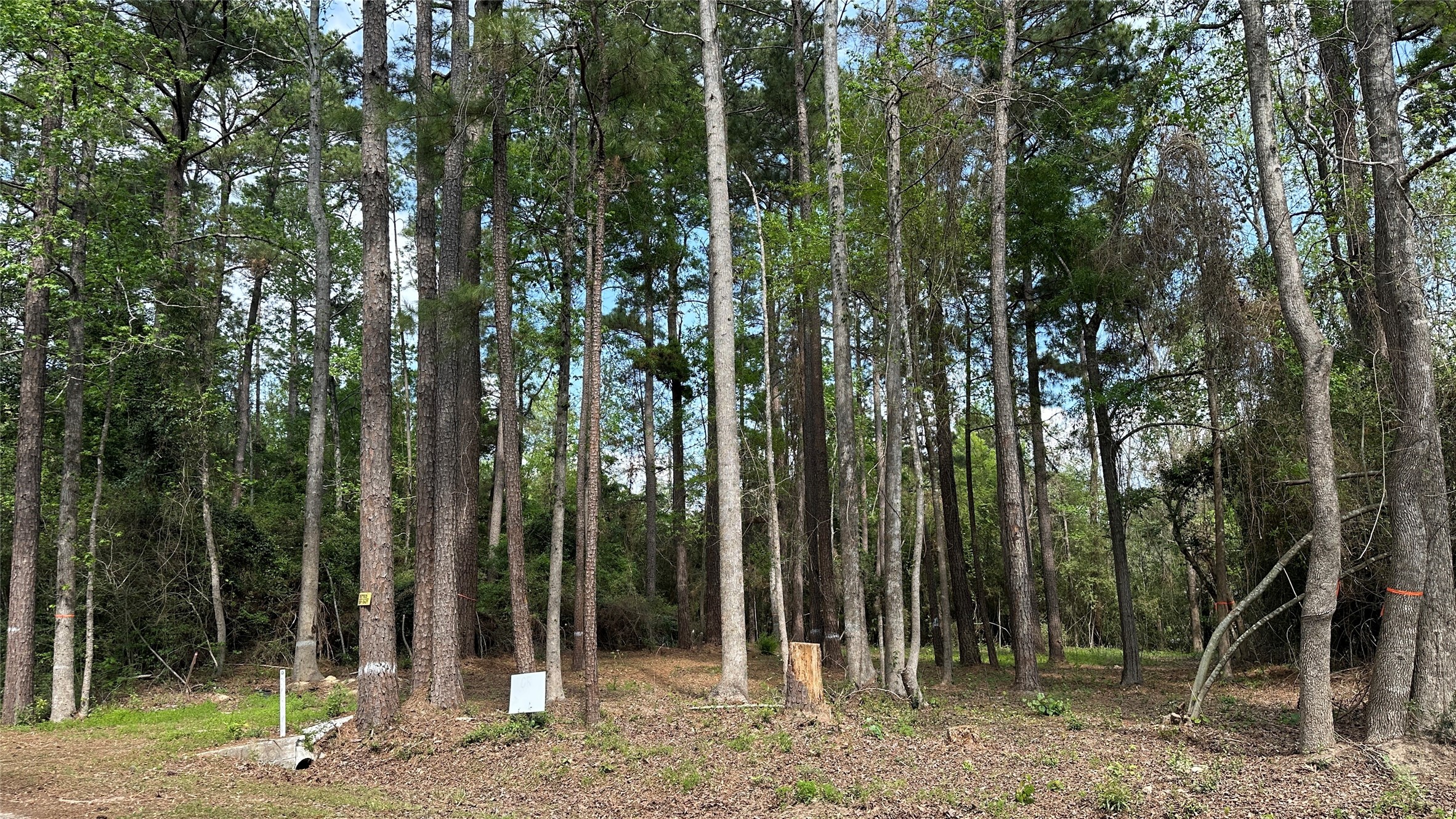 775 Huckleberry Road Onalaska, TX 77360 - Photo 1 of 7 view from street