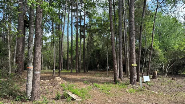 a view of backyard with green space