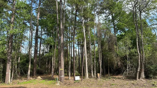 a view of outdoor space with trees