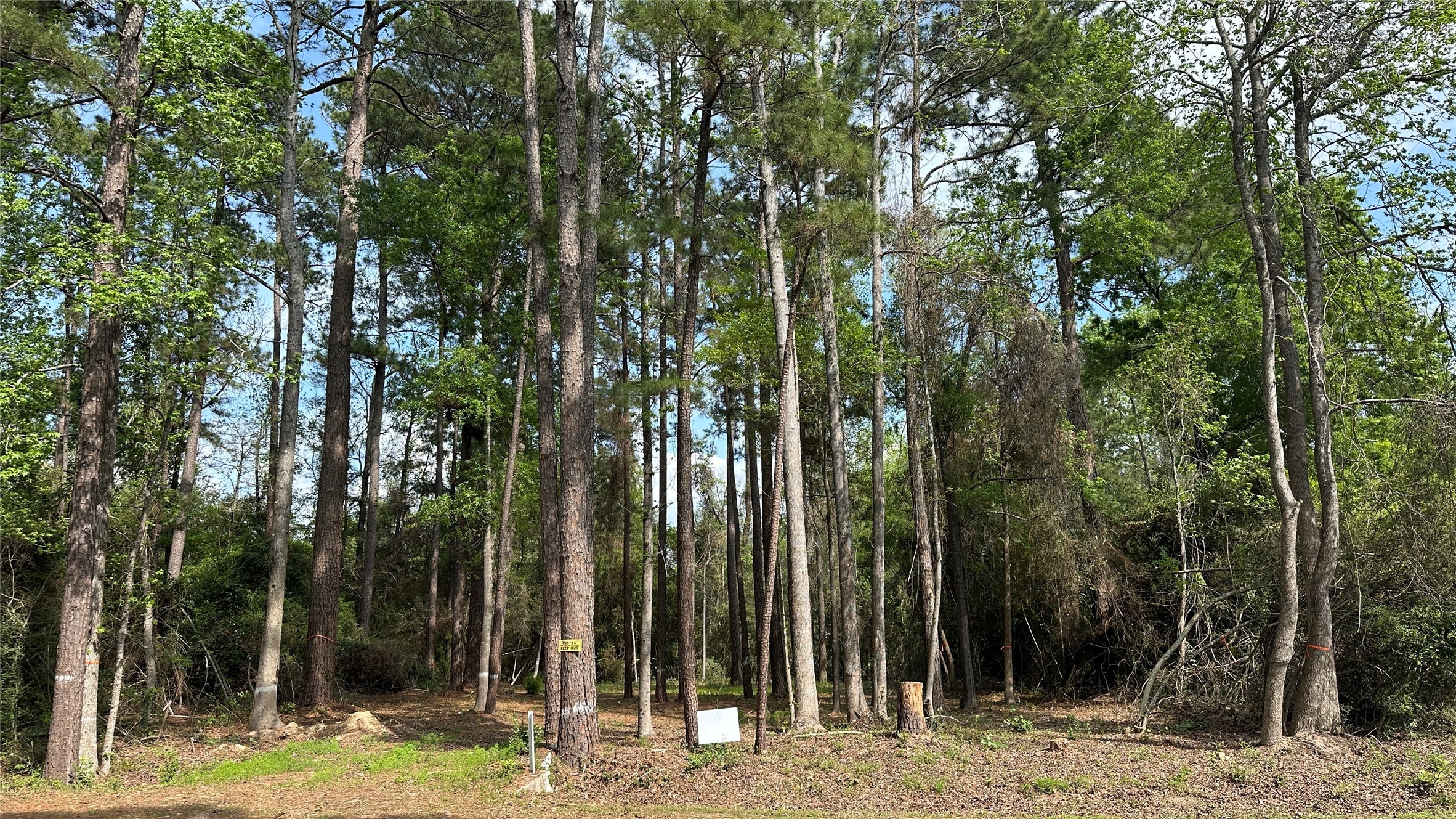 775 Huckleberry Road Onalaska, TX 77360 - Photo 3 of 7