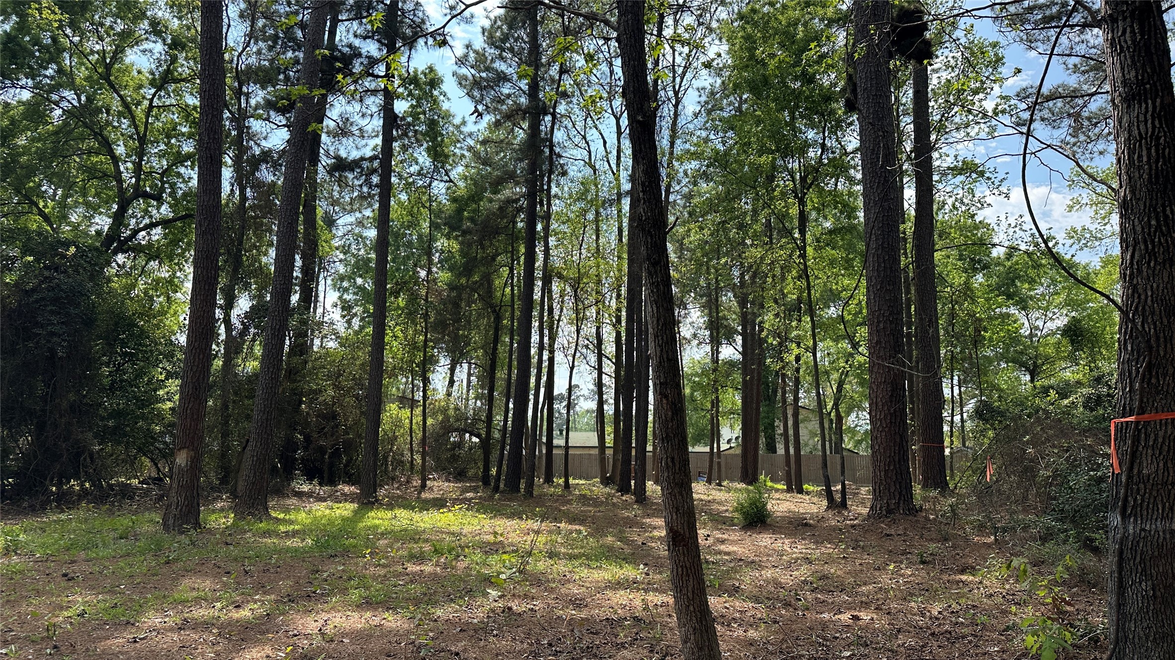775 Huckleberry Road Onalaska, TX 77360 - Photo 4 of 7 view standing at the back of the property looking towards the street