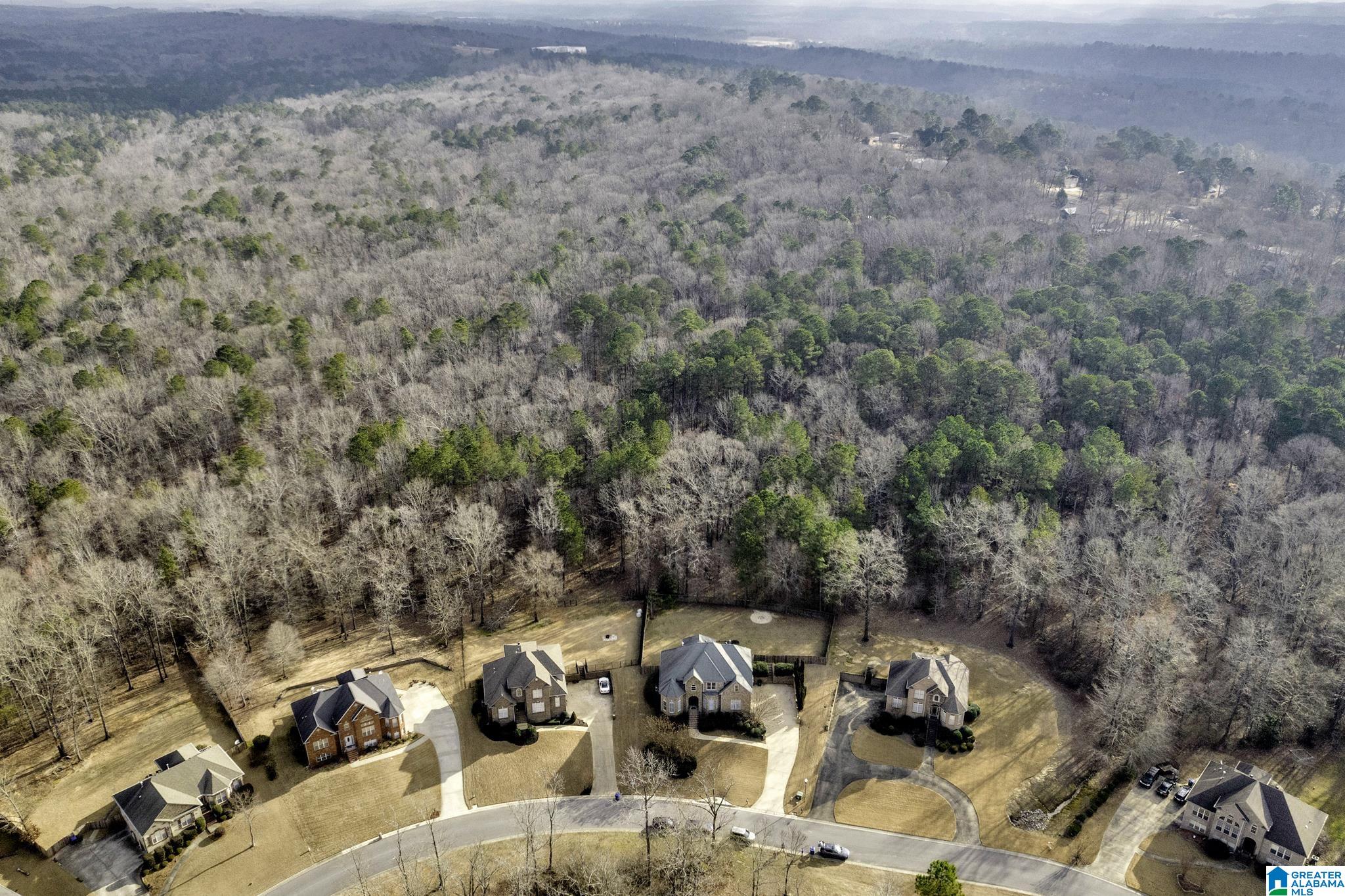 7228 Cloverleaf Lane Helena, AL 35022 - Photo 46 of 46