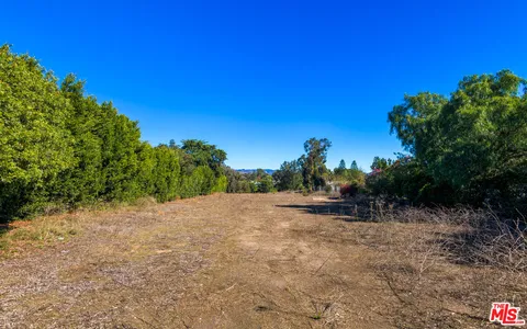 a view of a yard with a tree