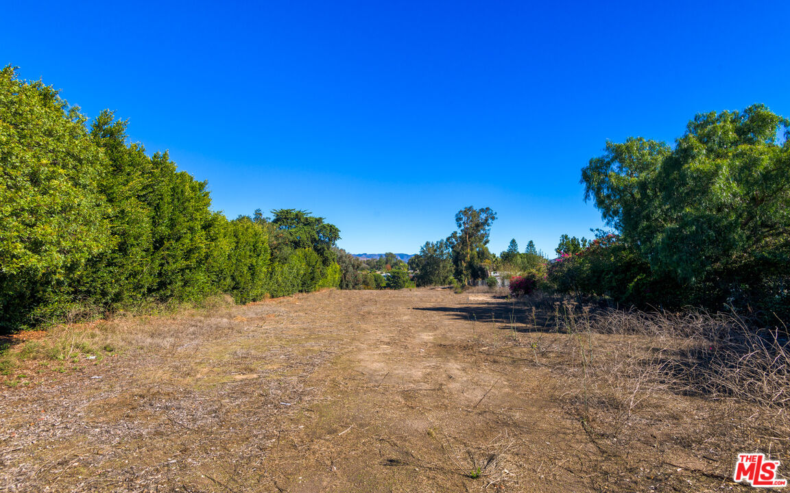 6672 Zumirez Drive Malibu, CA 90265 - Photo 14 of 32 a view of a yard with a tree