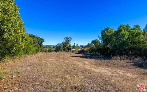 a view of a yard with a tree