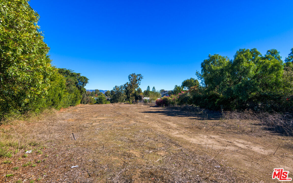 6672 Zumirez Drive Malibu, CA 90265 - Photo 15 of 32 a view of a plants with a tree