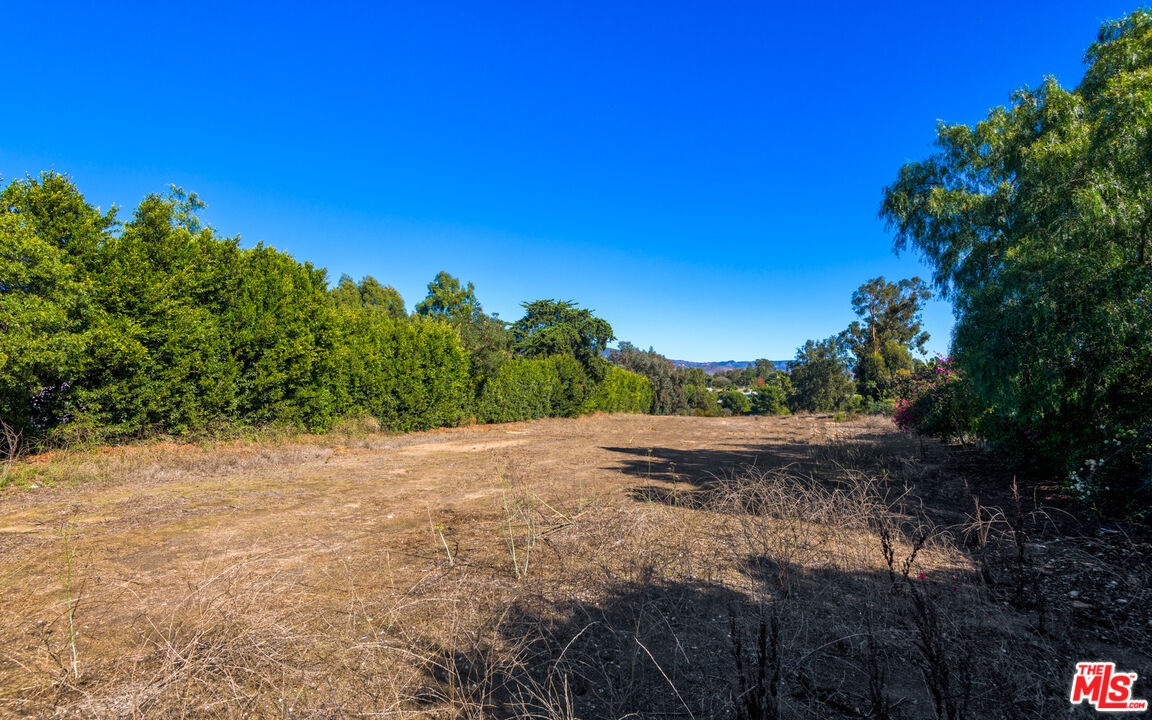 6672 Zumirez Drive Malibu, CA 90265 - Photo 16 of 32 a view of a yard with a tree