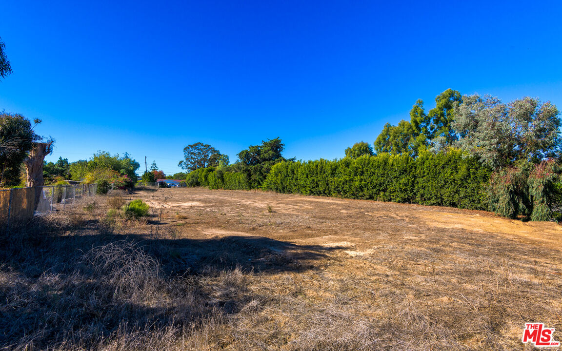 6672 Zumirez Drive Malibu, CA 90265 - Photo 19 of 32 a view of a dry yard with trees