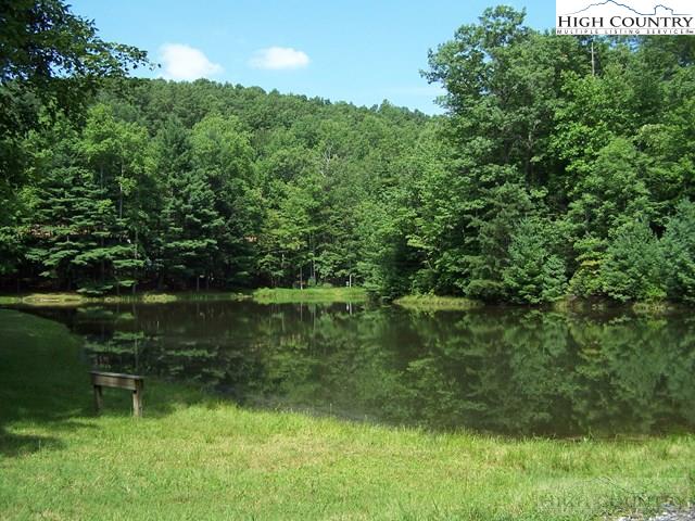 Hawk Ridge Road Deep Gap, NC 28618 - Photo 14 of 34 Gallery Image 14