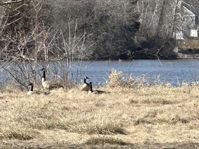 $41,900 | Two Wilson Street, Two Rivers, WI 54241