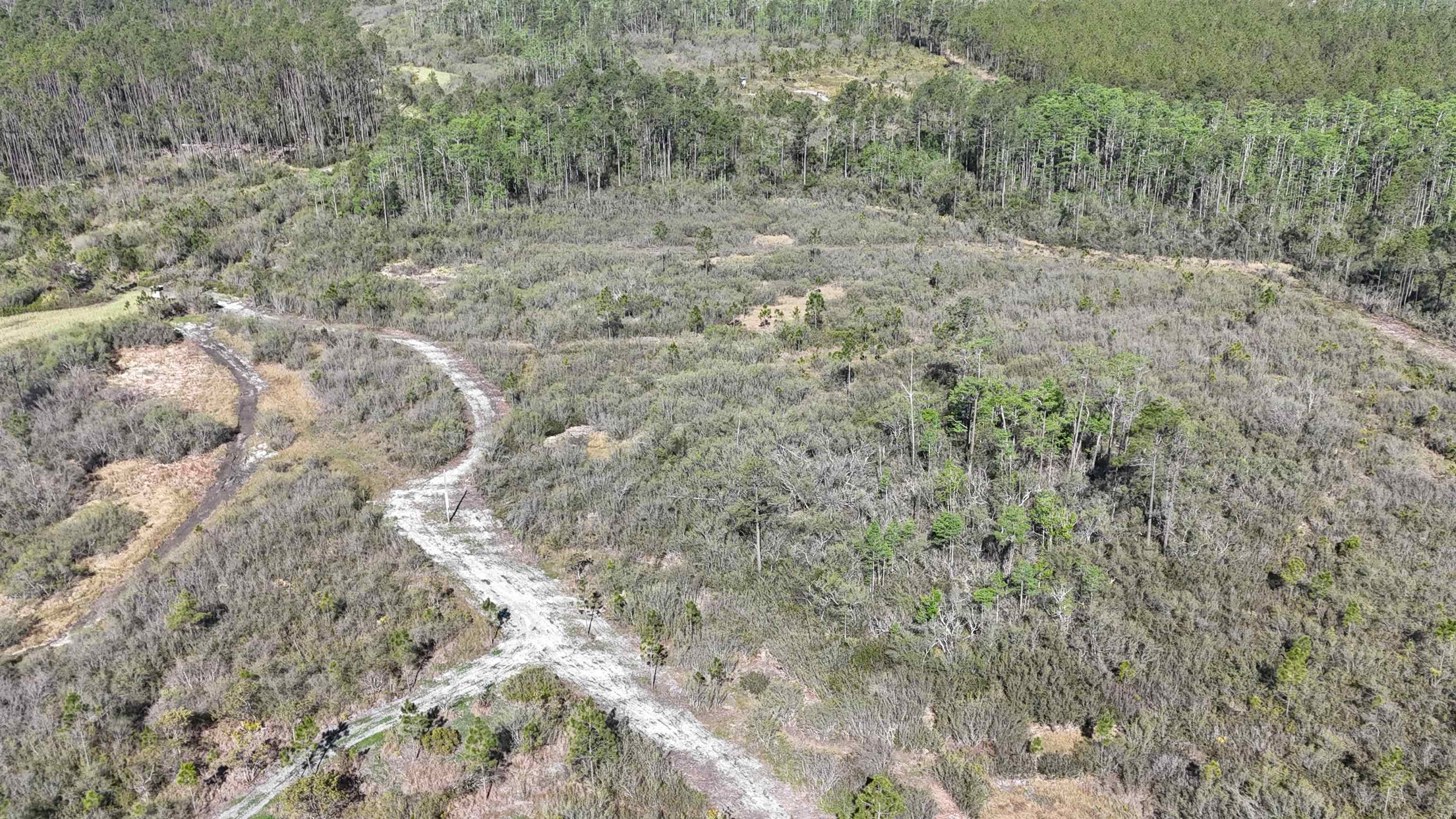 0 Madison Main Line Road Perry, FL 32347 - Photo 16 of 50