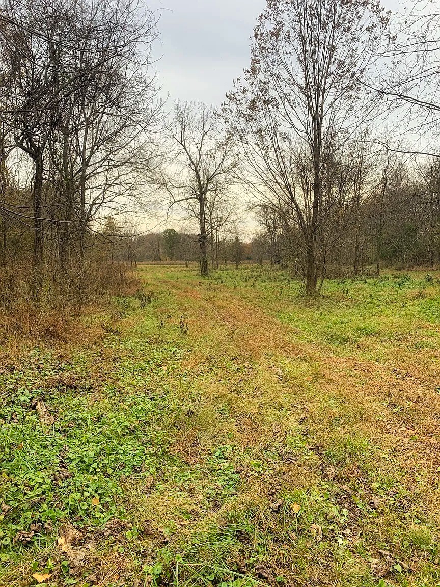 0 Empson Road White House, TN 37188 - Photo 24 of 41 Gallery Image 24