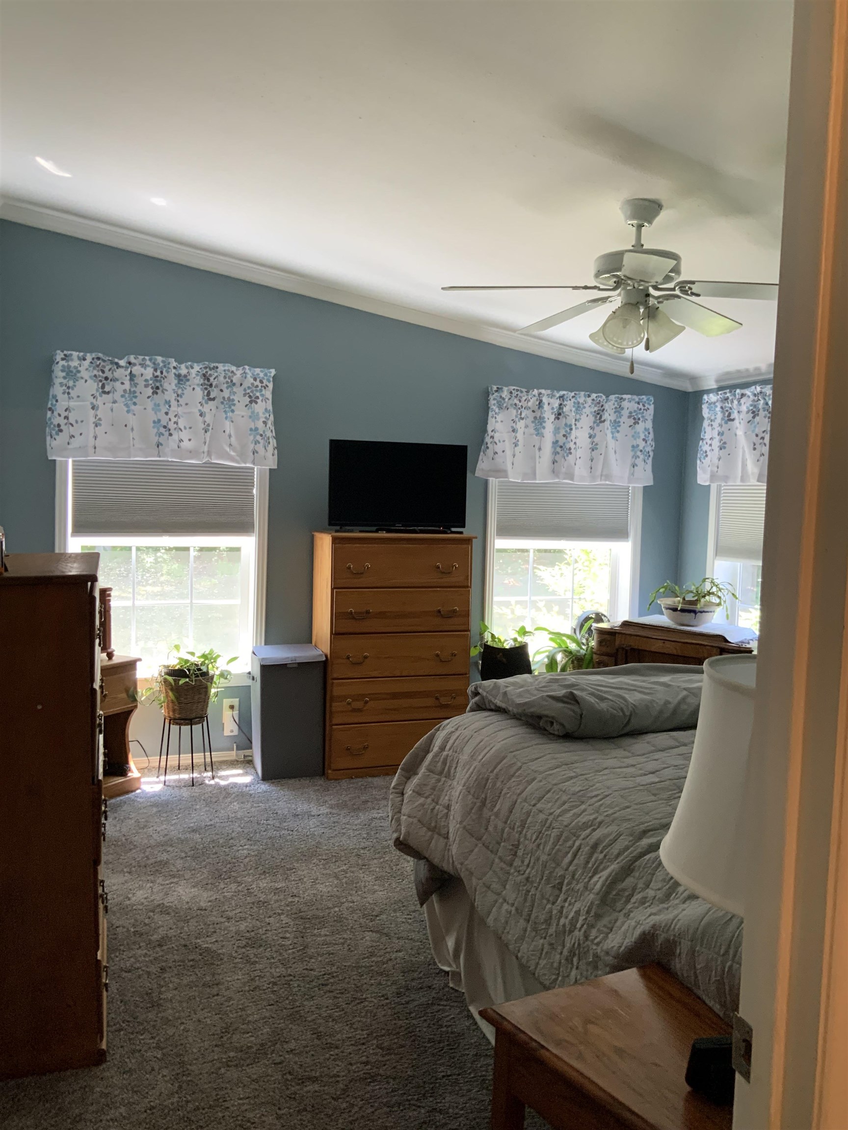 56 Osprey Road Alton, NH 03809 - Photo 25 of 31