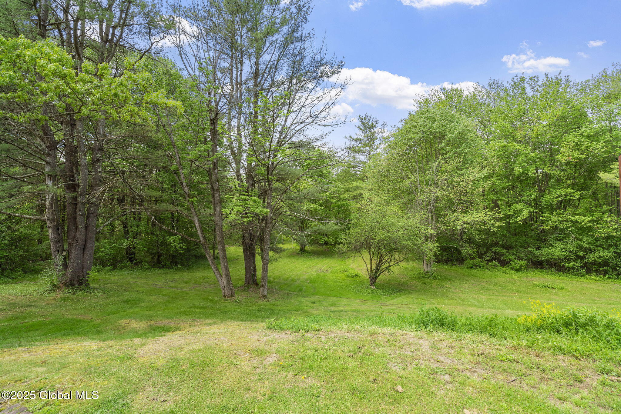 6175 Hawes Road Guilderland, NY 12009 - Photo 55 of 59 59-web-or-mls-6175-hawes-rd