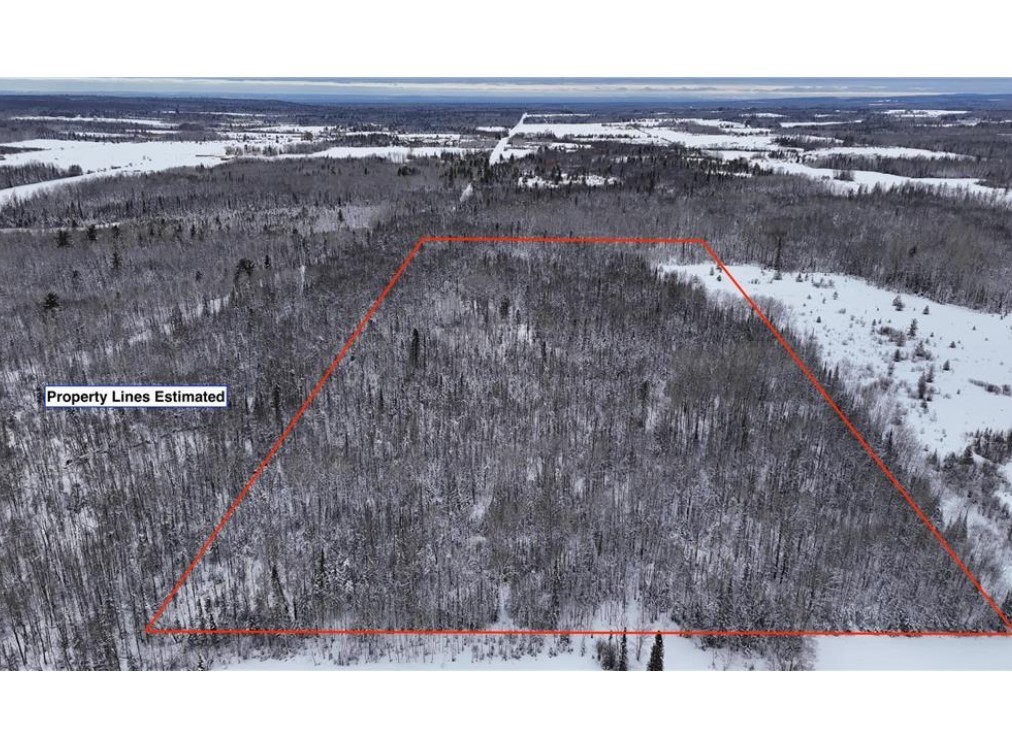 Tbd Wallin Road Iron River, WI 54847 - Photo 4 of 17