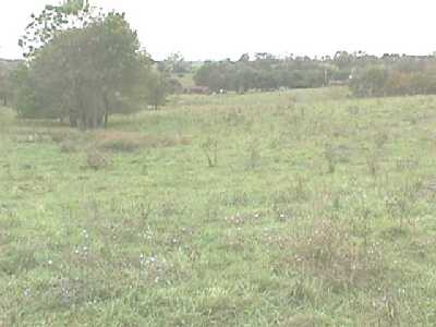 256 Prescott Road Paris, KY 40361 - Photo 7 of 8 Photo 7