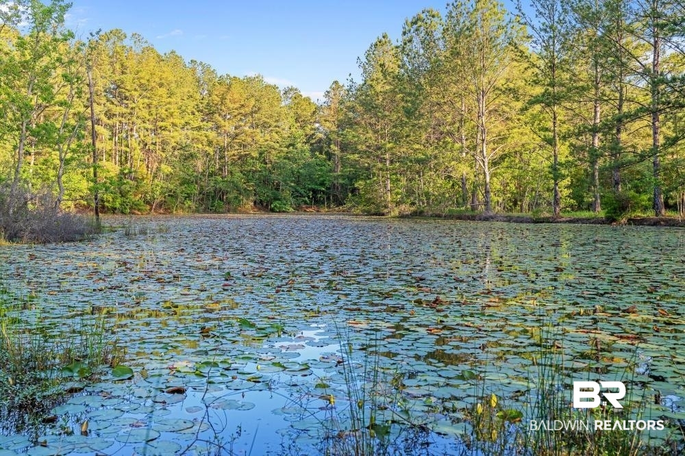 11100 Kali Oka Road Eight Mile, AL 36613 - Photo 40 of 49