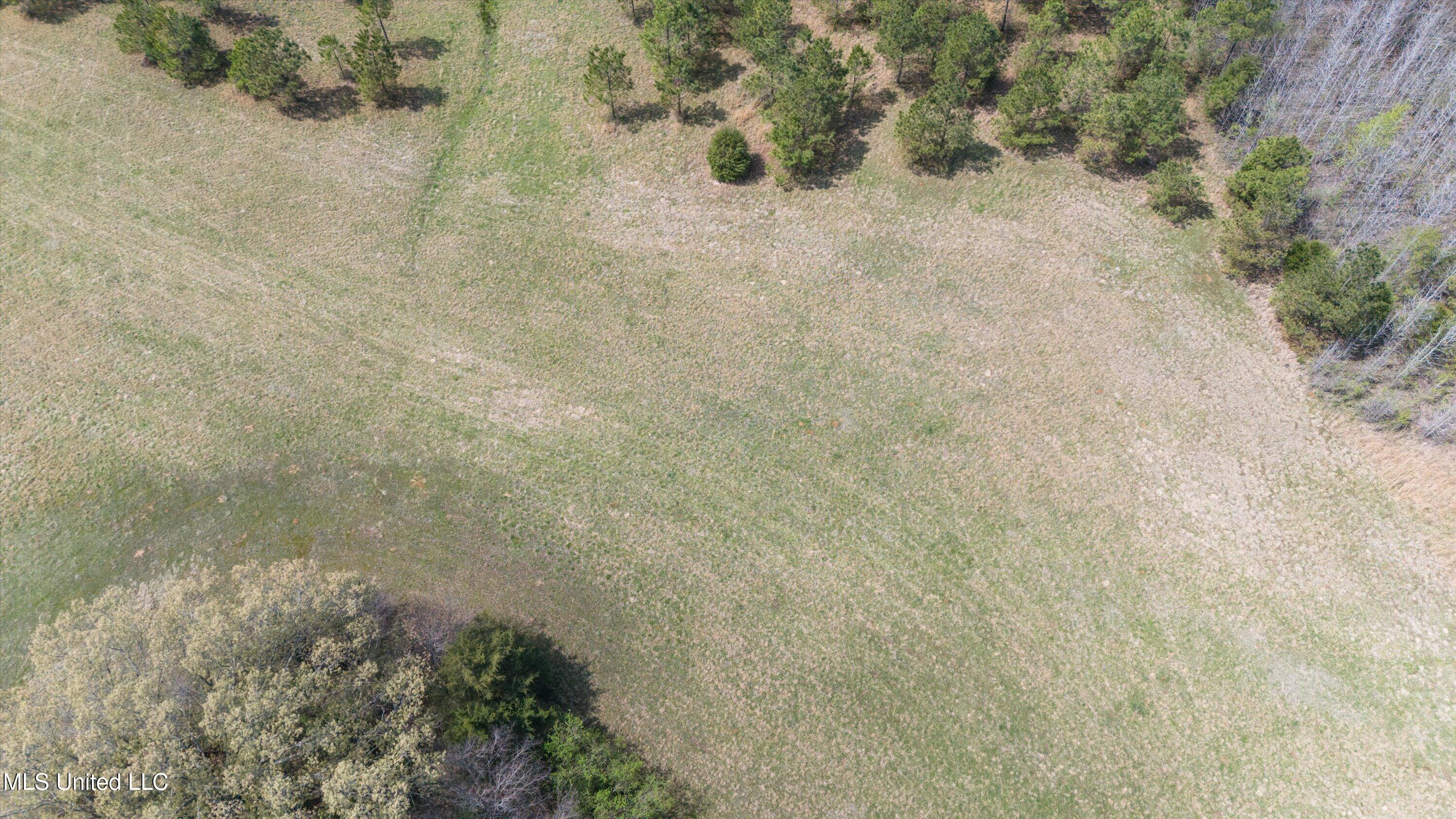 5727 South Watson Desoto Road Byhalia, MS 38611 - Photo 4 of 7 6-DJI_20250331131905_0042_D