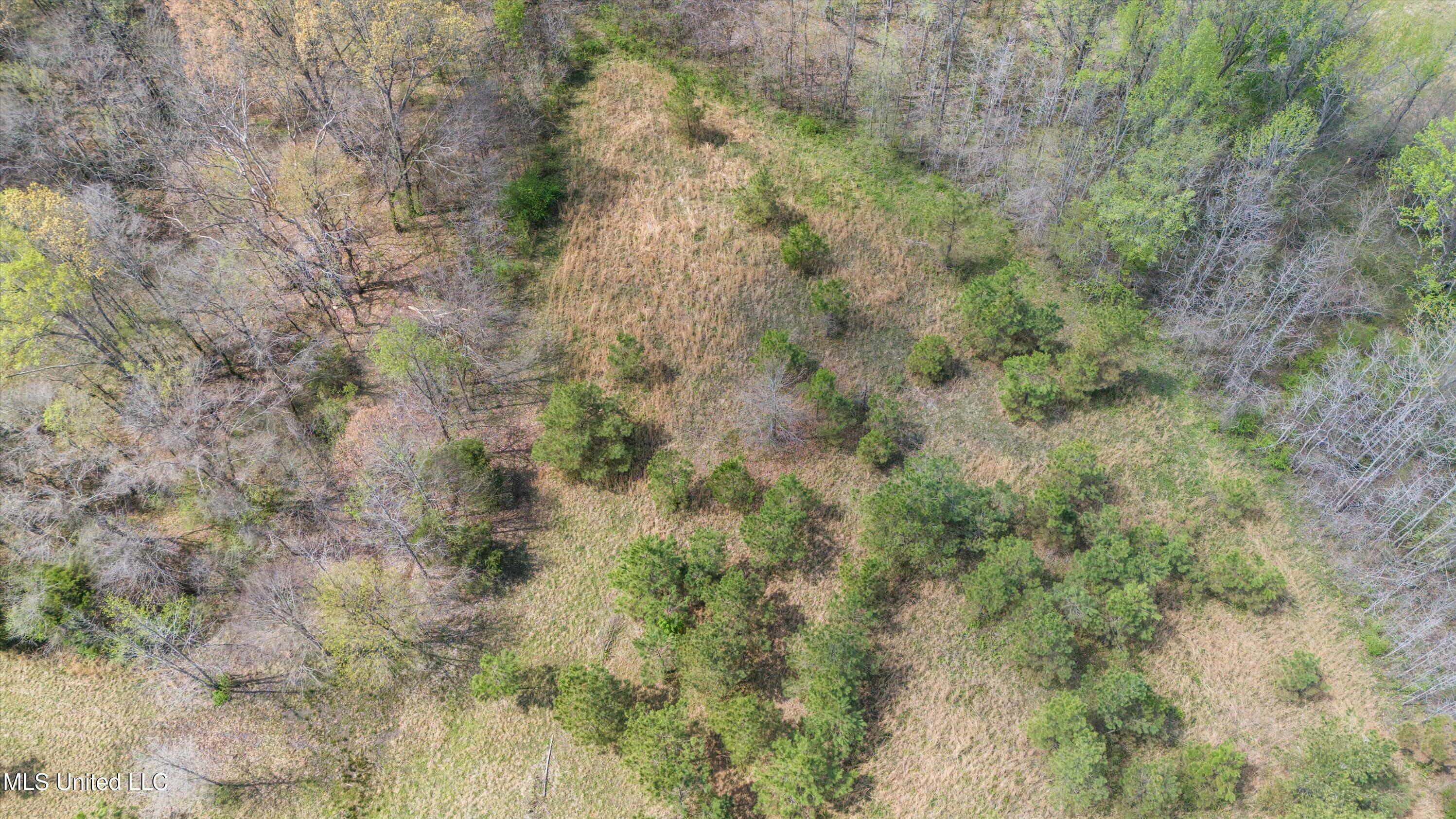 5727 South Watson Desoto Road Byhalia, MS 38611 - Photo 5 of 7 7-DJI_20250331131949_0047_D