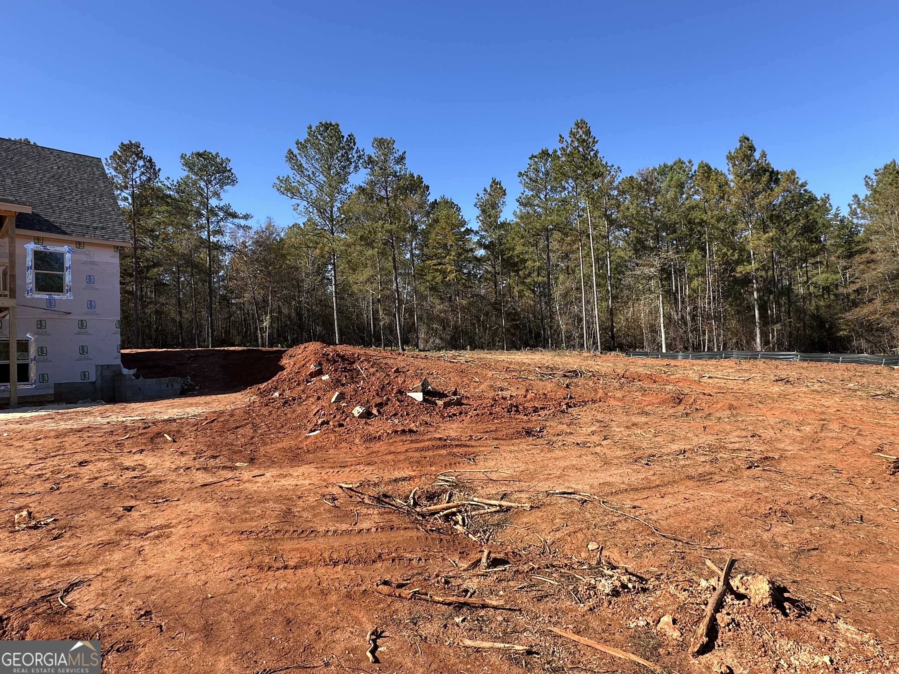 151 Nancy Lane Forsyth, GA 31029 - Photo 11 of 13 a outdoor view of house with yard