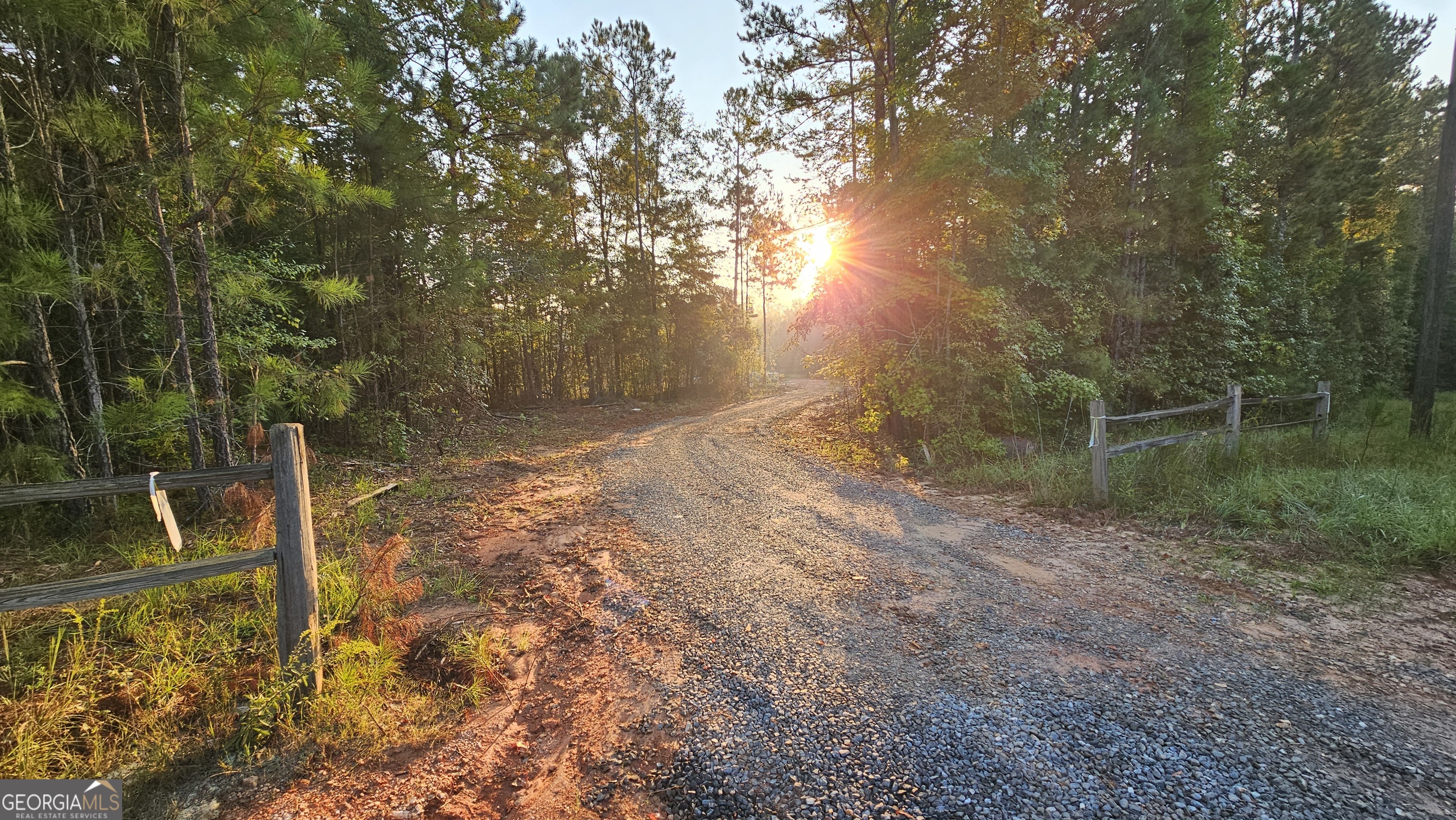 151 Nancy Lane Forsyth, GA 31029 - Photo 6 of 13 a backyard of a house with lots of green space