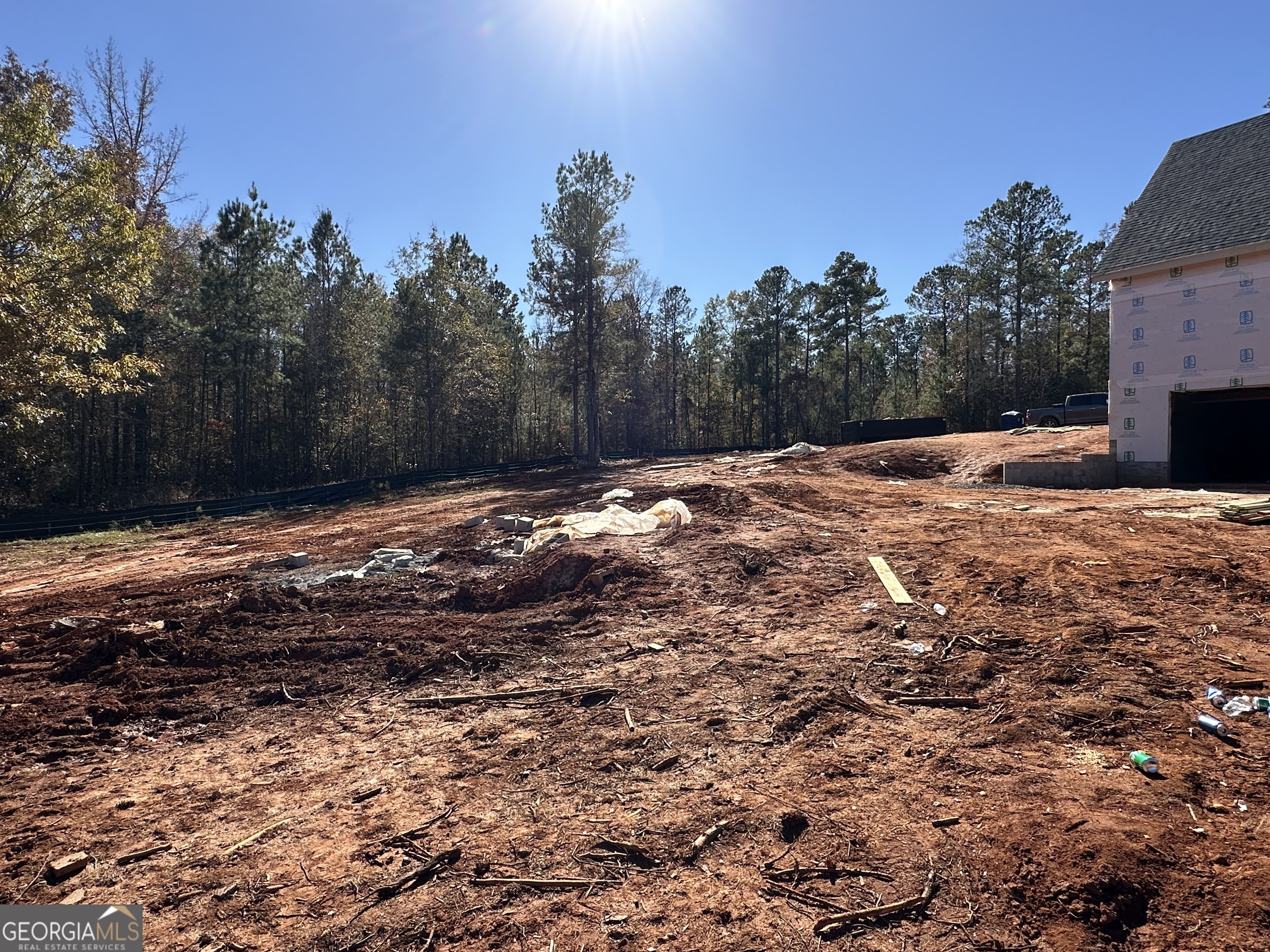 151 Nancy Lane Forsyth, GA 31029 - Photo 10 of 13 a view of a yard with a tree