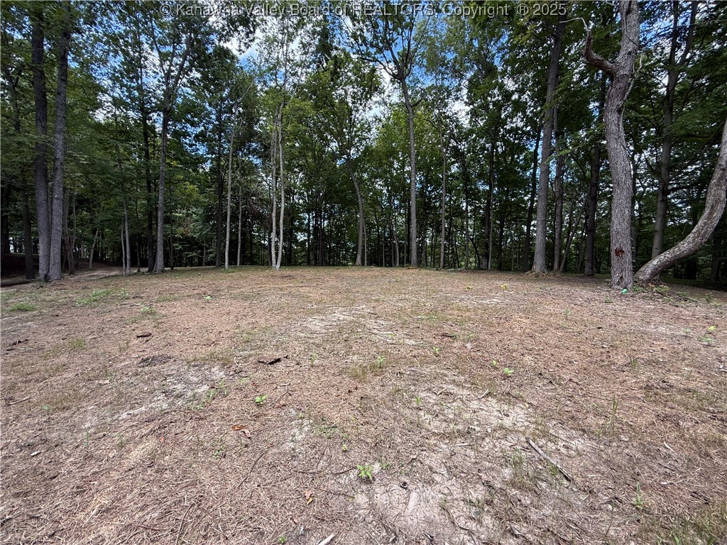 0 Harmon Run Road Le Roy, WV 25252 - Photo 4 of 10 Gallery Image 4