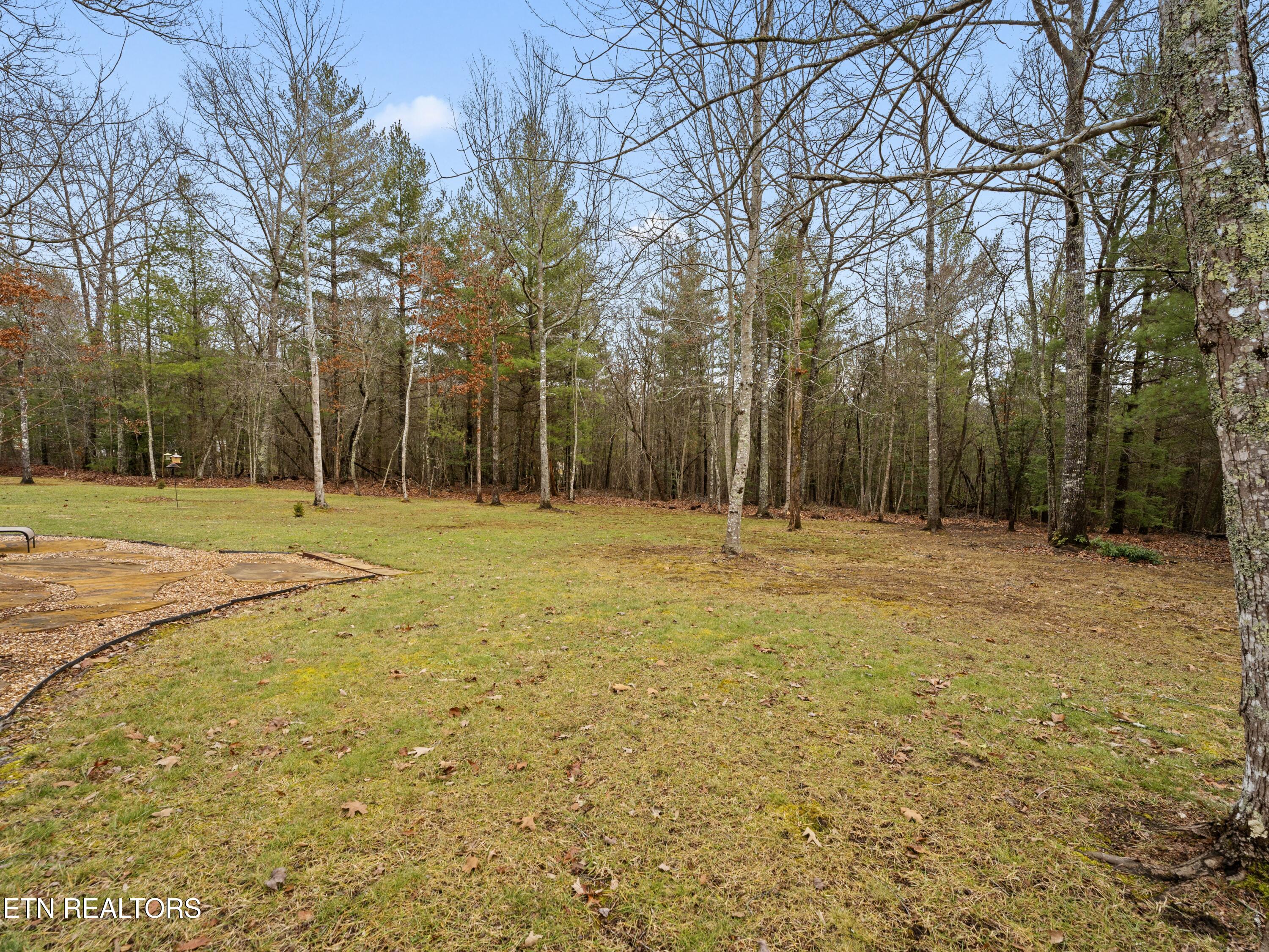 130 Windsor Road Crossville, TN 38558 - Photo 45 of 54 Backyard