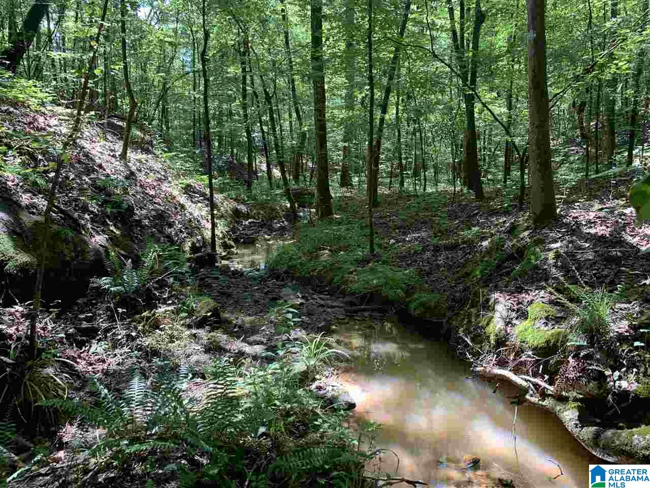 0 Brown Road Calera, AL 35040 - Photo 10 of 18