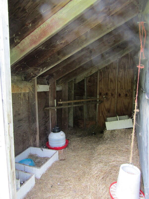 150 Meadow Hill Road Greene, ME 04236 - Photo 33 of 33 checken coop