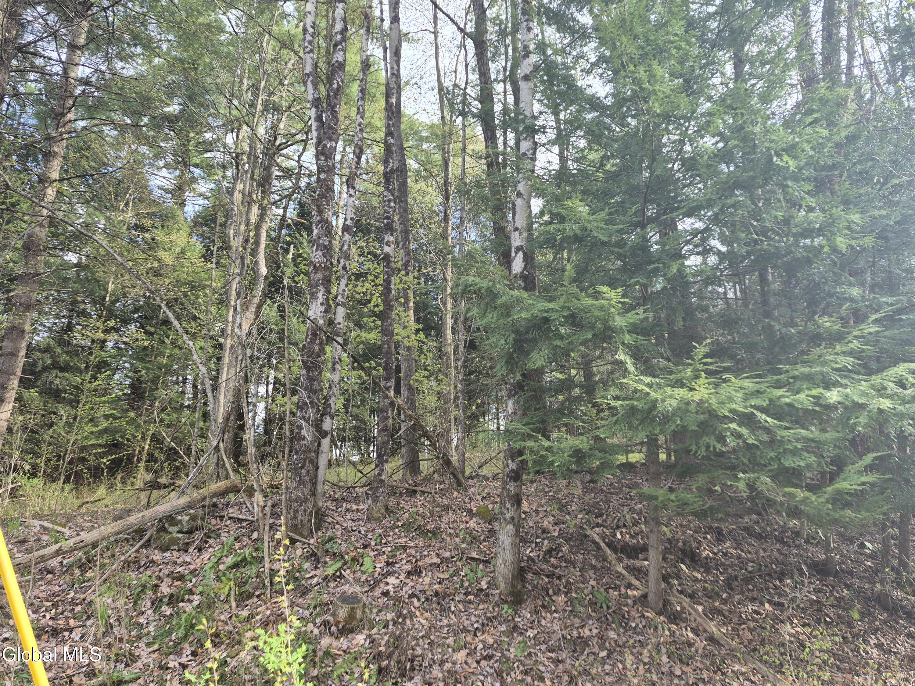 L2.6 Goodman Road Fort Ann, NY 12827 - Photo 6 of 10 20260501_170110