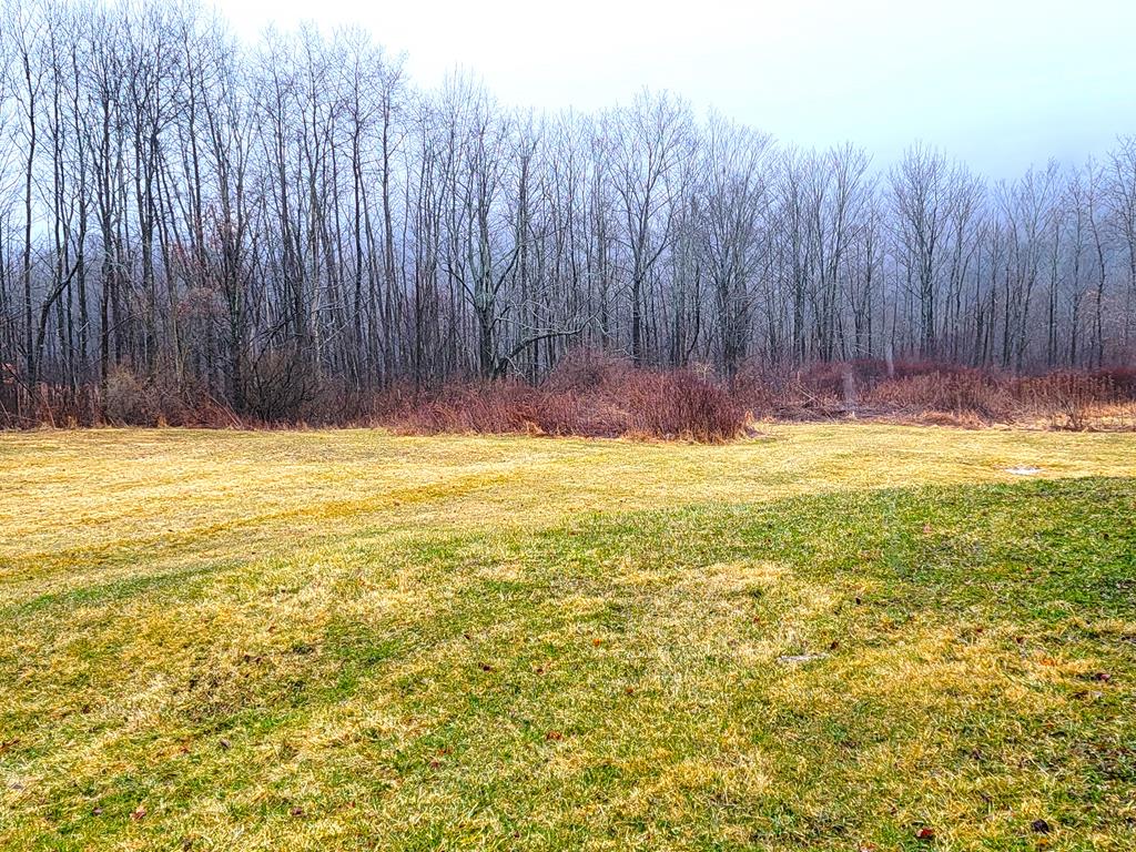 441 Murphy Hill Road Catlin, NY 14845 - Photo 18 of 29