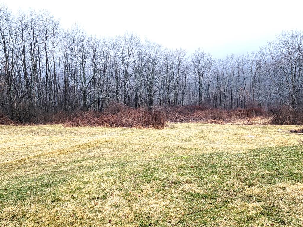 441 Murphy Hill Road Catlin, NY 14845 - Photo 23 of 29