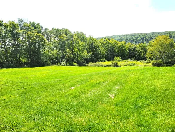 $48,000 | 441 Murphy Hill Road, Catlin, NY 14845