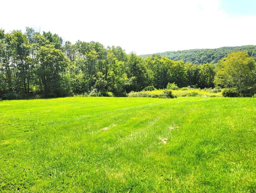 441 Murphy Hill Road Catlin, NY 14845 - Photo 6 of 29