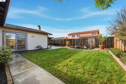 a view of a backyard with plants and a patio