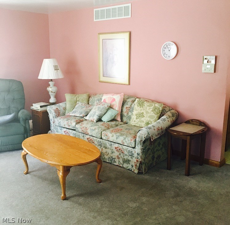 1107 Sandy Lake Road Ravenna, OH 44266 - Photo 17 of 22 Gallery Image 17