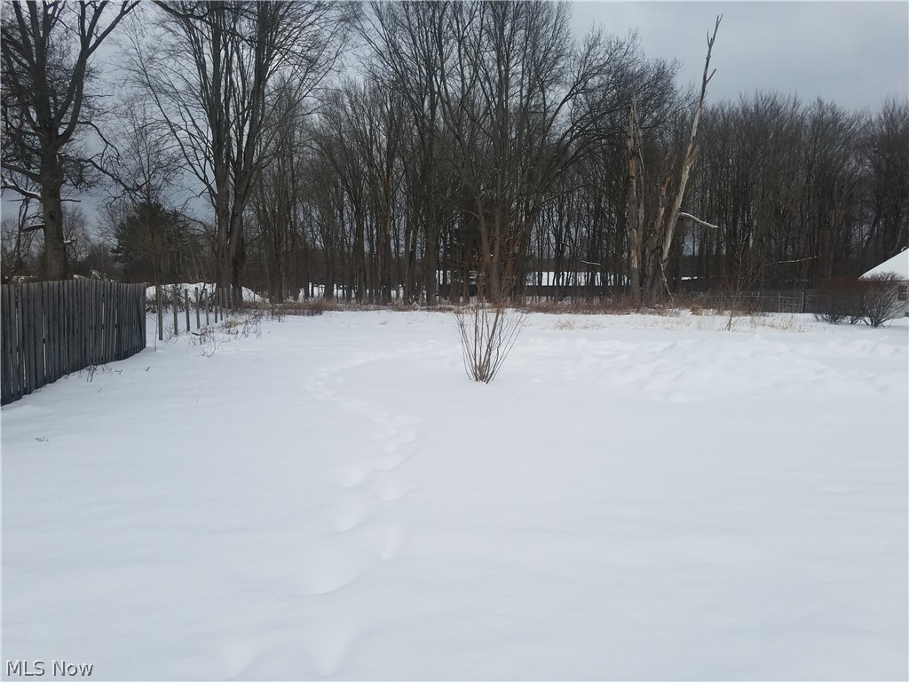4231 Sandy Lake Road Ravenna, OH 44266 - Photo 2 of 4 Gallery Image 2