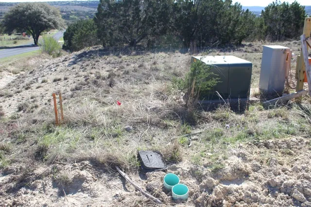 a view of a forest with a forest