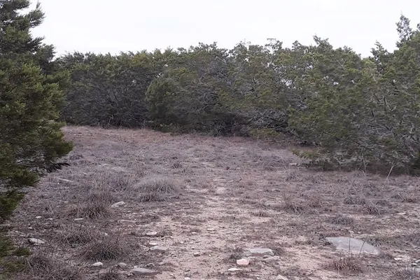 a view of a covered with trees in the background