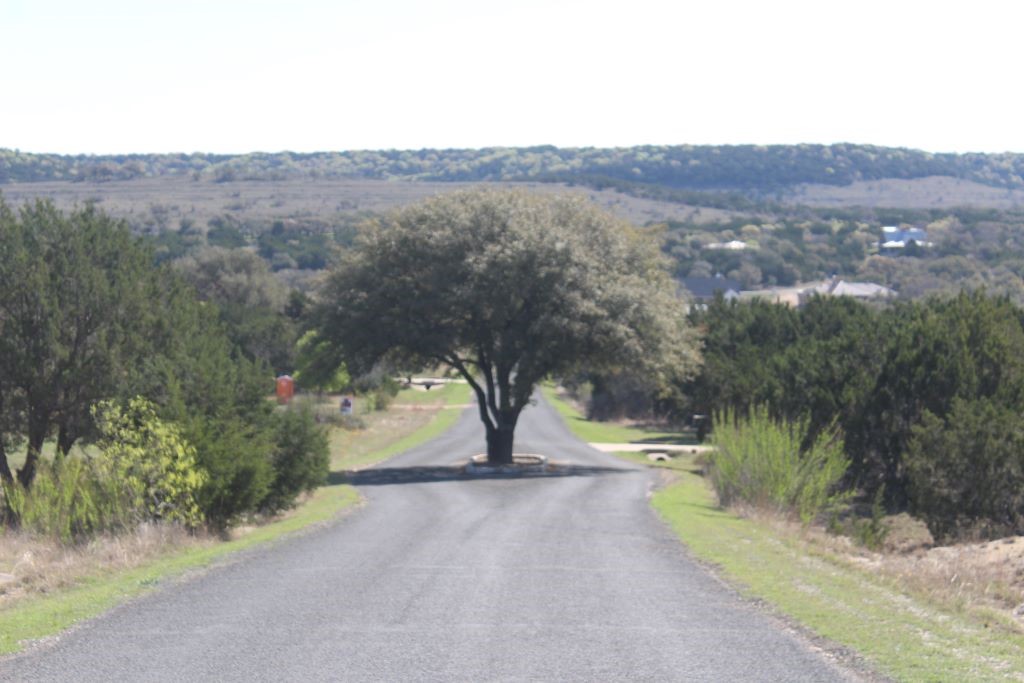 116 Oak Crest Drive Bertram, TX 78605 - Photo 33 of 39 Street front Lot on right facing east