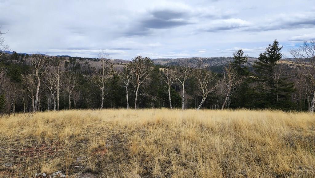 0 County Road Victor, CO 80860 - Photo 6 of 21