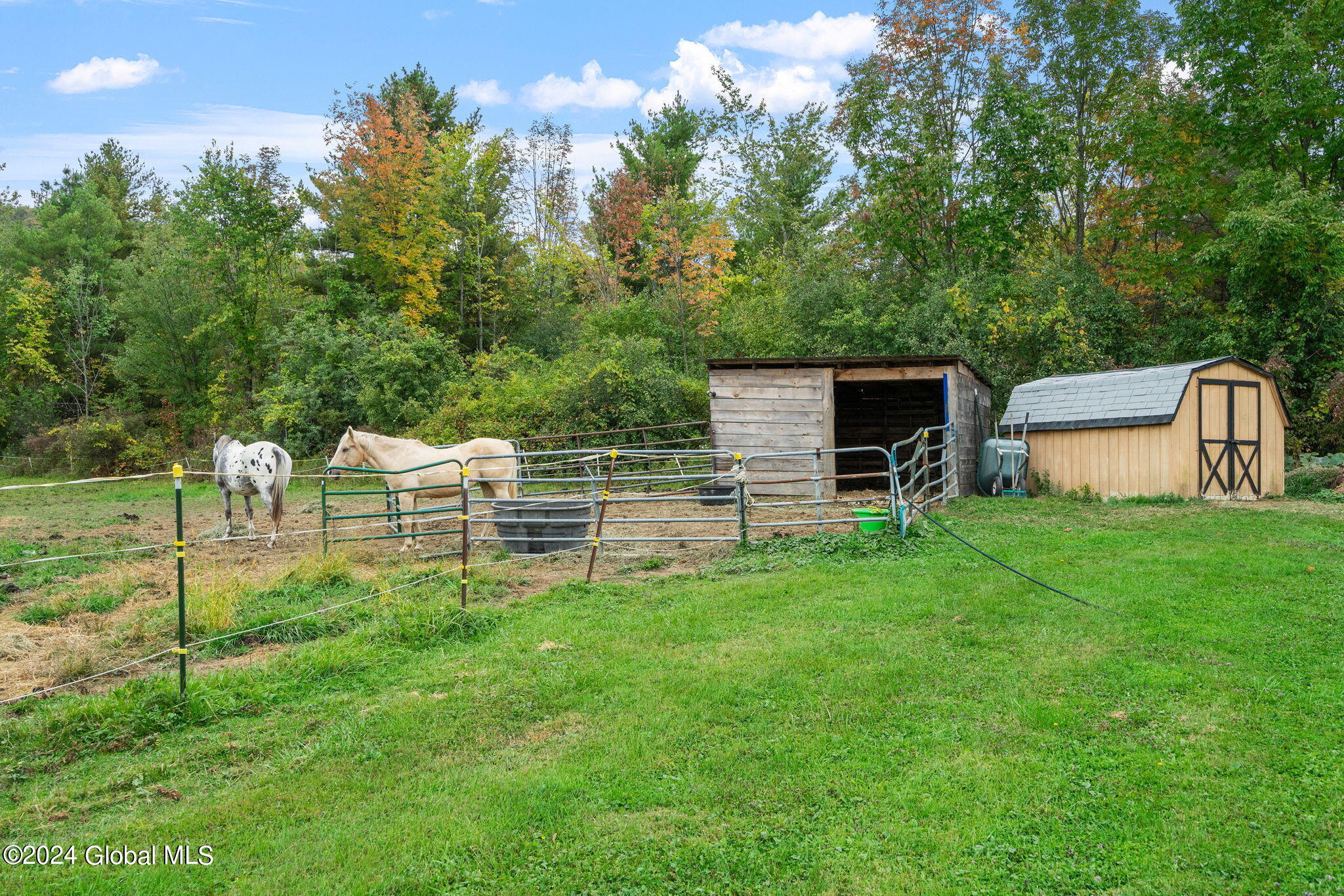 327 Witter Road Knox, NY 12009 - Photo 3 of 17 6-web-or-mls-327-witter-rd
