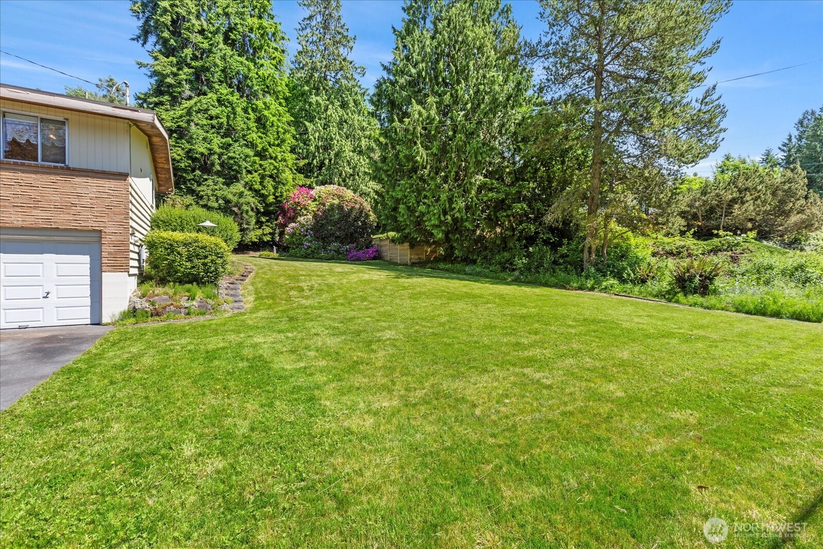 1420 Olympic Avenue Edmonds, WA 98020 - Photo 38 of 40 a backyard of a house with plants and large tree
