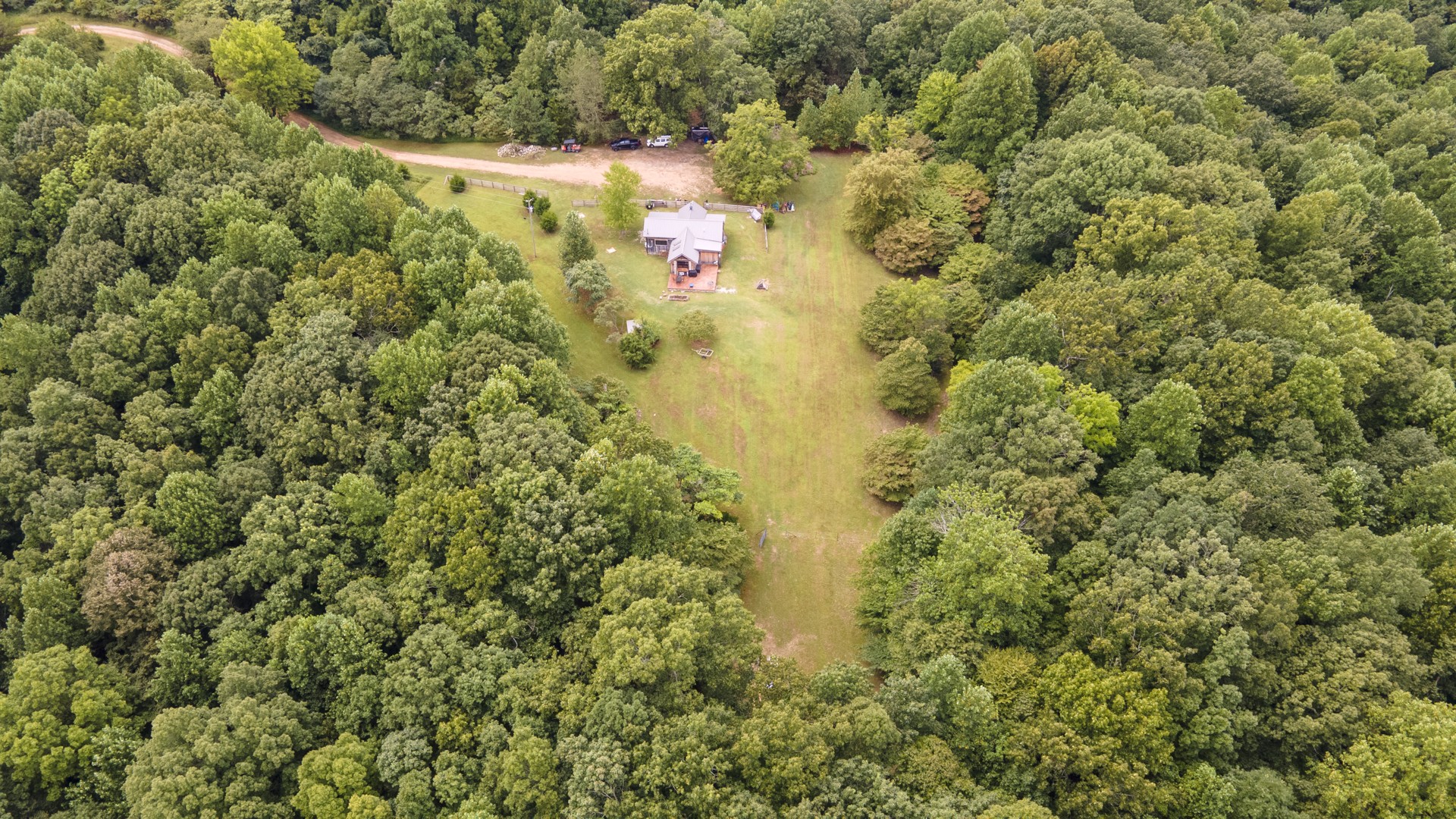 5656 Walter King Road Franklin, TN 37064 - Photo 35 of 36 a view of a forest with a tree