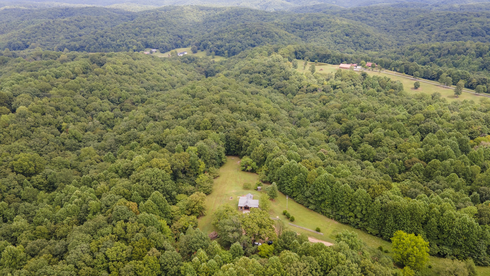 5656 Walter King Road Franklin, TN 37064 - Photo 9 of 36 a view of a yard with trees